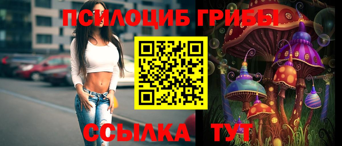Галлюциногенные грибы Psilocybe  Вход с VPN  Камень-на-Оби 